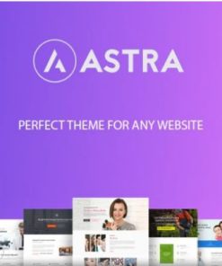 Astra WordPress Theme