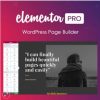 Elementor PRO WordPress Page Builder + Pro Templates