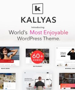 KALLYAS – Creative eCommerce Multi-Purpose WordPress Theme