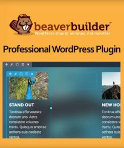Beaver Builder Professional WordPress Plugin