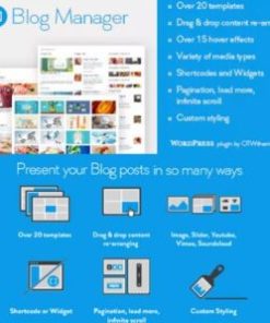 Blog Manager for WordPress