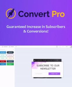 Convert Po Plugin