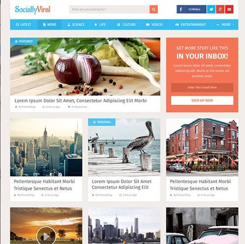 MyThemeShop SociallyViral WordPress Theme
